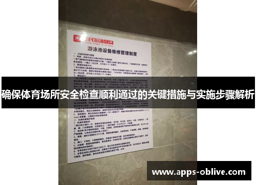 确保体育场所安全检查顺利通过的关键措施与实施步骤解析