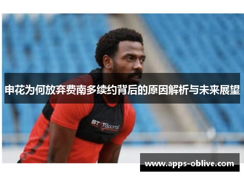 申花为何放弃费南多续约背后的原因解析与未来展望