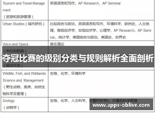 夺冠比赛的级别分类与规则解析全面剖析